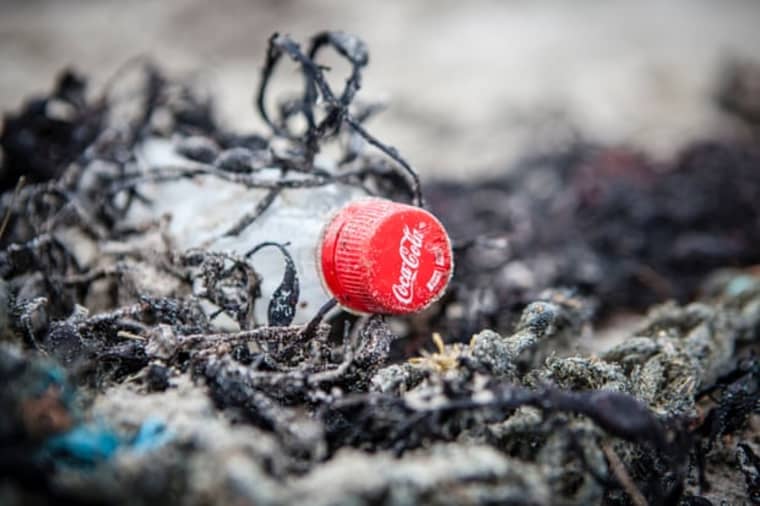 A COP27 klímacsúcs Coca-Cola általi szponzorálása “zöldrefestés”