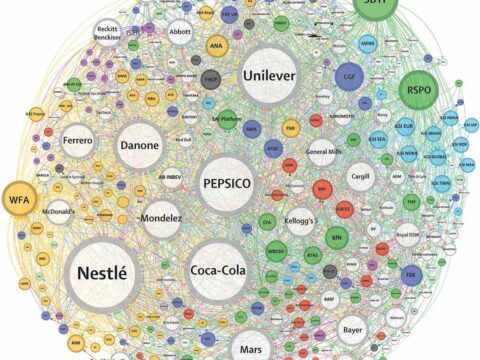 Az ultra-feldolgozott élelmiszerek rejtett klímabombája: a világ figyelmen kívül hagyja a valódi kibocsátót