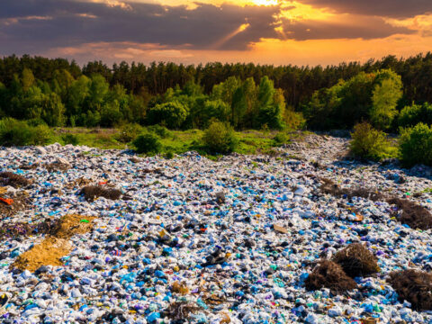 A 42 a műanyagkrízisre adott válasz!