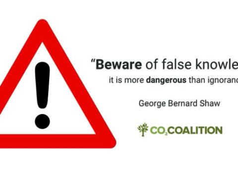 A hamis tudás veszélyesebb, mint a tudatlanság